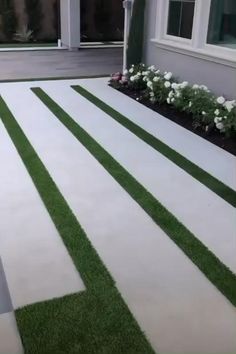 تنسيق حدائق (101)