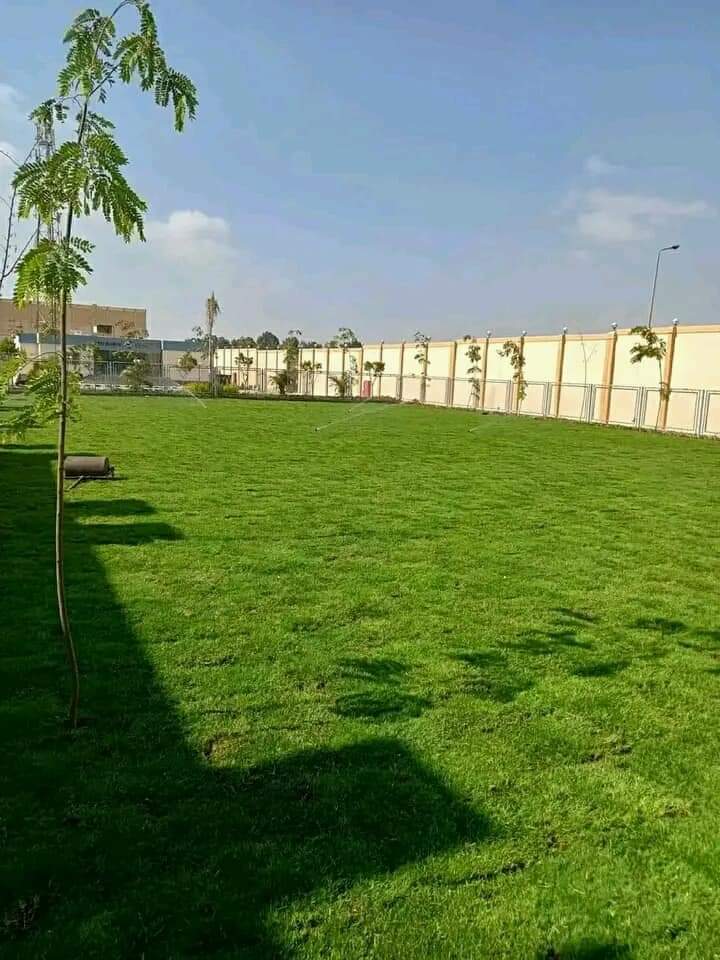 تنسيق حدائق (5)